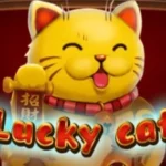 Lucky Cat