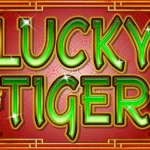 Lucky Tiger