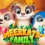 Meerkats’ Family