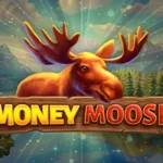 Money Moose