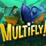 MultiFly!