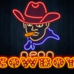 Neon Cowboy