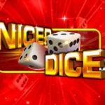 Nicer Dice 100