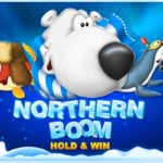 Northern Boom