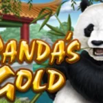 Panda’s Gold
