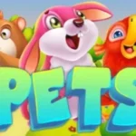 Pets