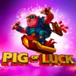 Pig of Luck