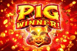 75 Free Spins on ‘Pig Winner’ at sunny spins logo