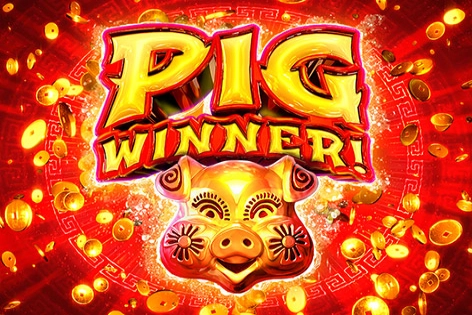 Pig Winner