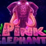 Pink Elephants
