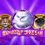 Pretty Kitty