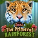 Primeval Rainforest