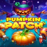 Pumpkin Patch