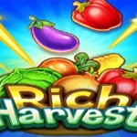 Rich Harvest