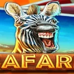 Safari