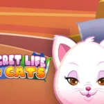 Secret Life of Cats