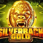 Silverback Gold