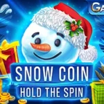 Snow Coin