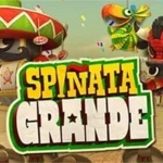 Spinata Grande