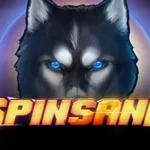 Spinsane