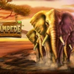 Stampede