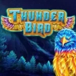 Thunder Bird