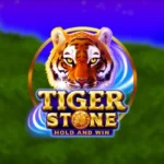 Tiger Stone