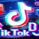 Tik Tok DJ
