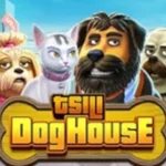TSILI Dog House