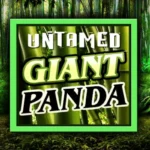 Untamed Giant Panda