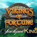 Vikings of Fortune