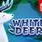White Deer
