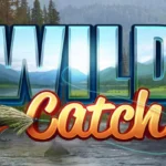 Wild Catch