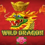 Wild Dragon