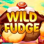 Wild Fudge