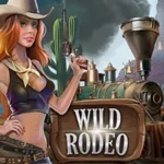 Wild Rodeo