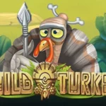 Wild Turkey