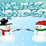 Winter Wonders