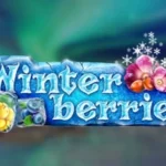 Winterberries