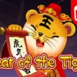 Year Of The Tiger