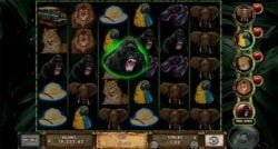 Africa – 2 Kings of Africa