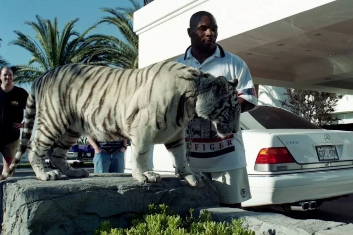 Celeb. Craziest Purchases They’ve Ever Made.