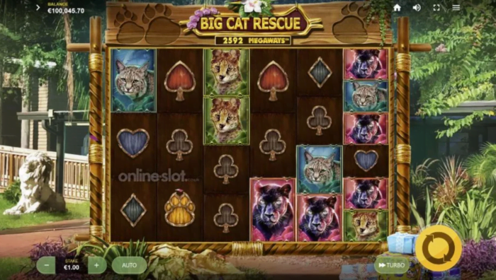 Big Cat Rescue Megaways