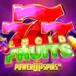 Lucid Fruits