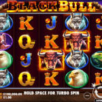 BLACK BULL