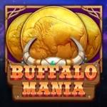 Buffalo Mania