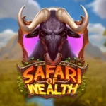 Safari of Wealth