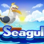 Seagull