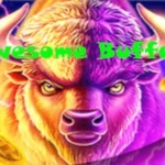 Awesome Buffalo