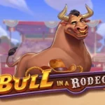 Bull in a Rodeo
